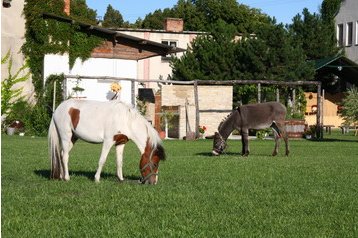 Slovačka Hotel Veliki Meder / Veľký Meder, Eksterijer